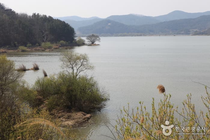 Changnyeong Upo Wetland (창녕 우포늪)