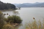 Changnyeong Upo Wetland (창녕 우포늪)