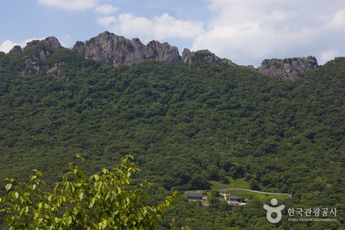Jeongeup Naejangsan Special Tourist Zone (정읍 내장산 관광특구)