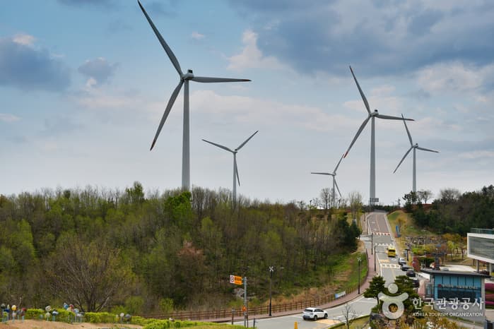 동해안일주해안도로(영덕), 등뼈를 타고 달리다!