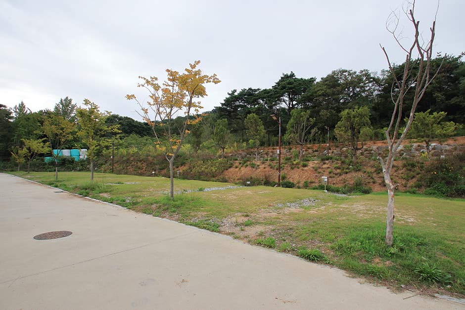 천수만권역상황오토캠핑장