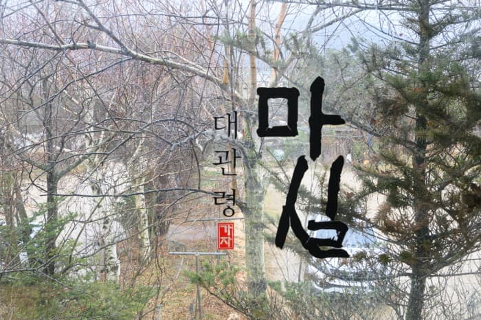 대관령 마실