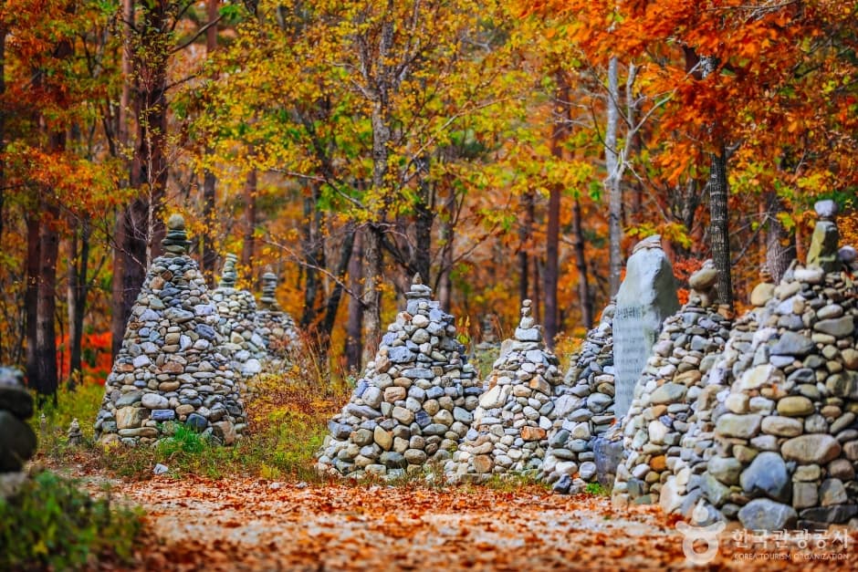 Mojeongtap Trail in Nochusan Mountain (노추산 모정탑길)