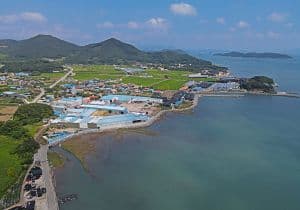 장좌마을