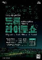 2025 한강 불빛 공연(드론 라이트 쇼)