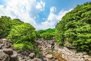 중산리계곡