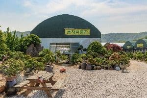 분재박물관