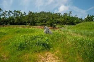 장산도