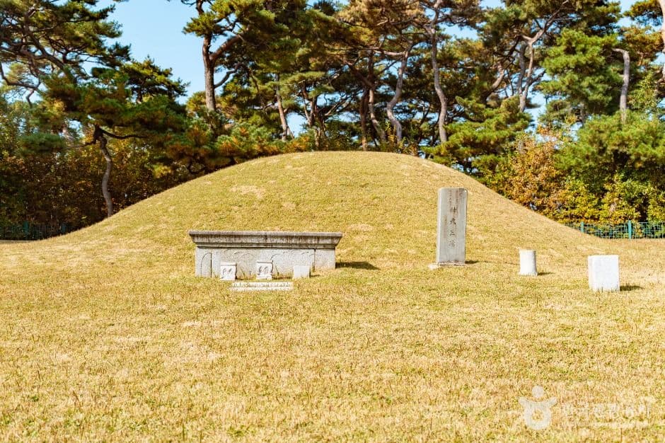 경주 신무왕릉