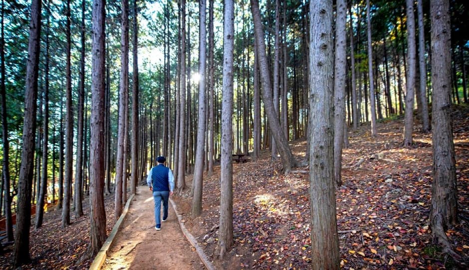 Ttangmoesan Mountain (땅뫼산)