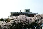 Namsan Library (서울특별시교육청 남산도서관)