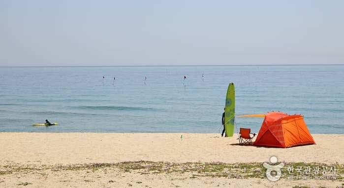 Geumjinhaebyeon Beach (금진해변)