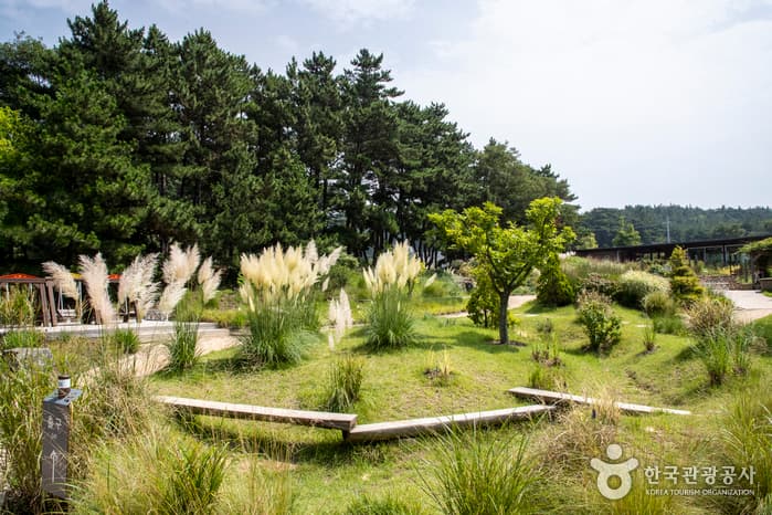 Cheollipo Arboretum (천리포수목원)