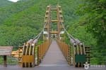 증평 좌구산 명상구름다리