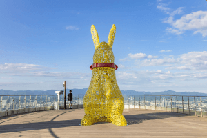 Apsan Cable Car (Apsan Observatory) (앞산 케이블카(앞산 전망대))