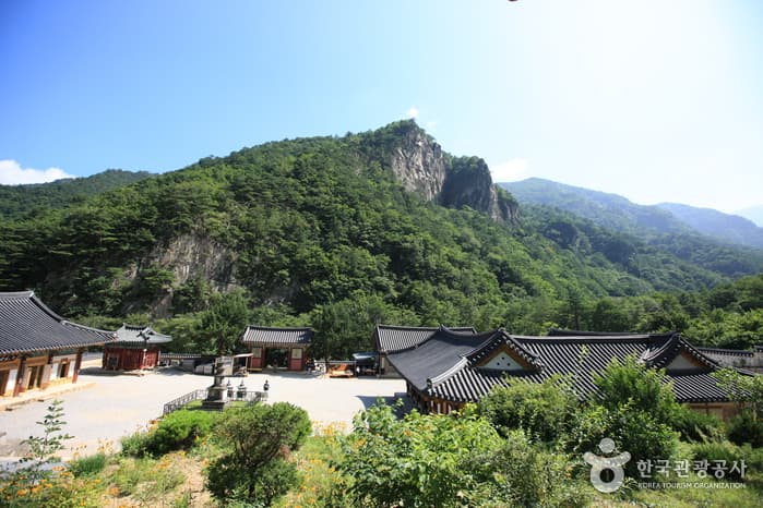 무릉도원에서 즐기는 시원한 하루