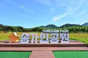 소앵무마을