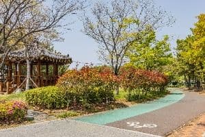 신호공원