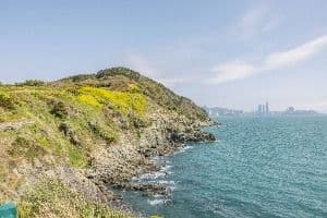 이기대