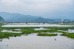 남대천(양양)