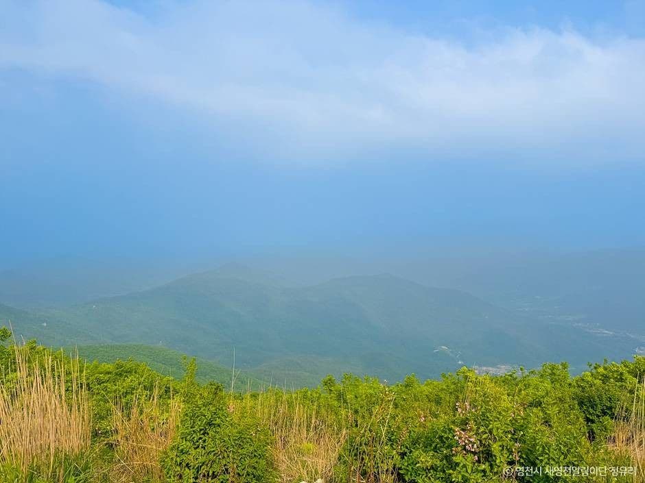 보현산(영천)
