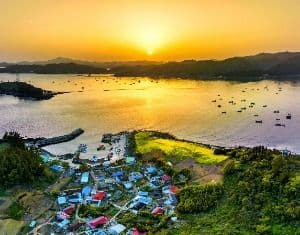 금호도