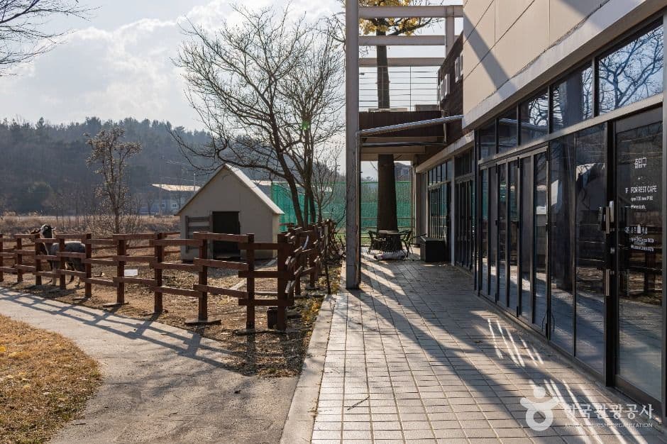 포레스트카페