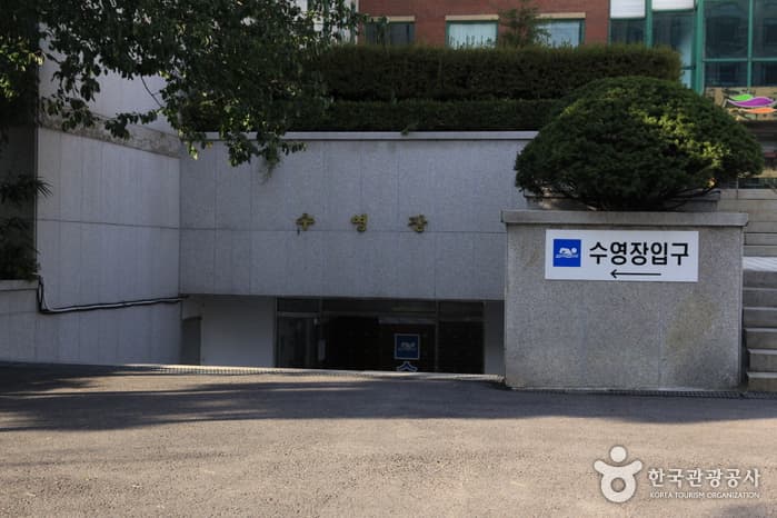 여성문화회관 수영장(실내)