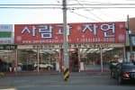 사람과자연