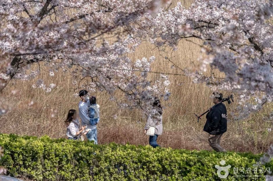 경포도립공원