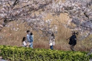 경포도립공원