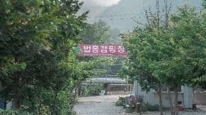 법흥캠핑장