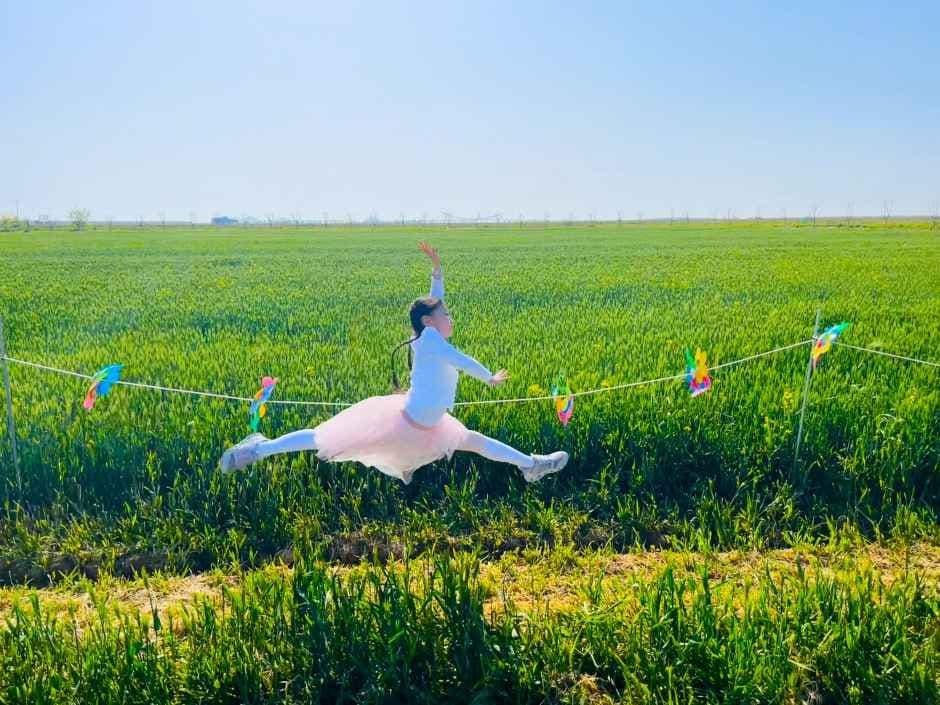 진봉새만금보리밭축제