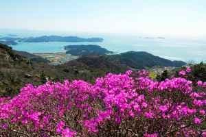 여귀산
