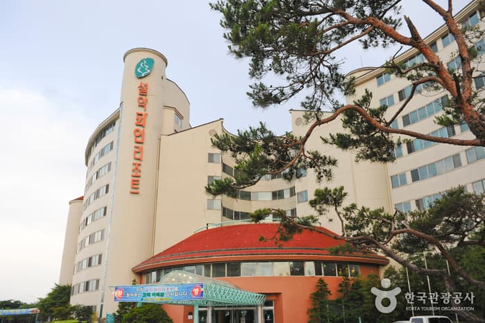 설악파인리조트