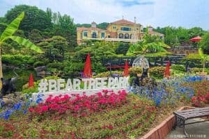 Beartree Park (베어트리파크)