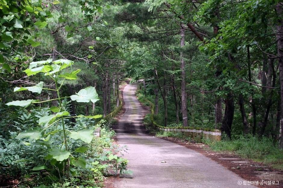 오도산