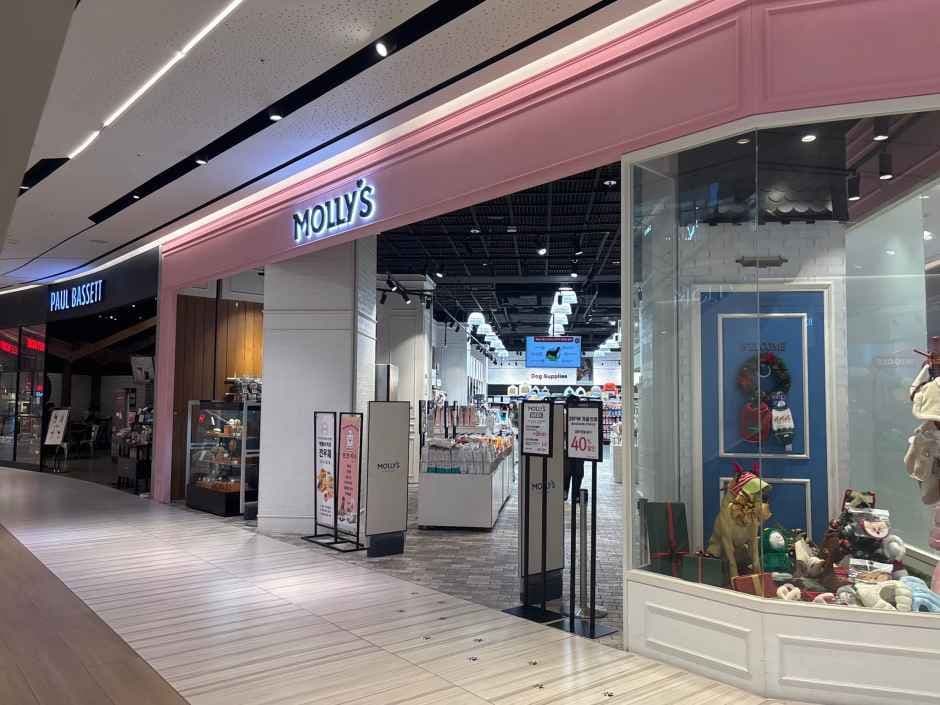 몰리스펫샵 신세계 센텀시티몰
