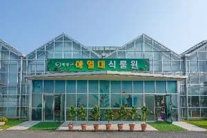 아열대식물원