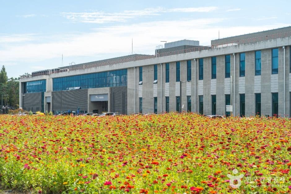 충주탄금공원