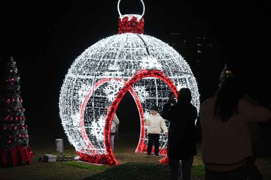 함평 겨울빛축제