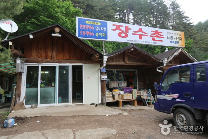 장수촌