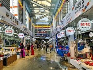 Jukdo Market (죽도시장)