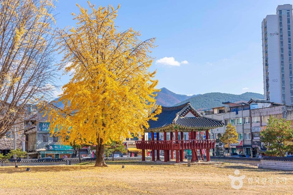 Jagyuru Pavilion and Gwanpungheon Hall (자규루 및 관풍헌)