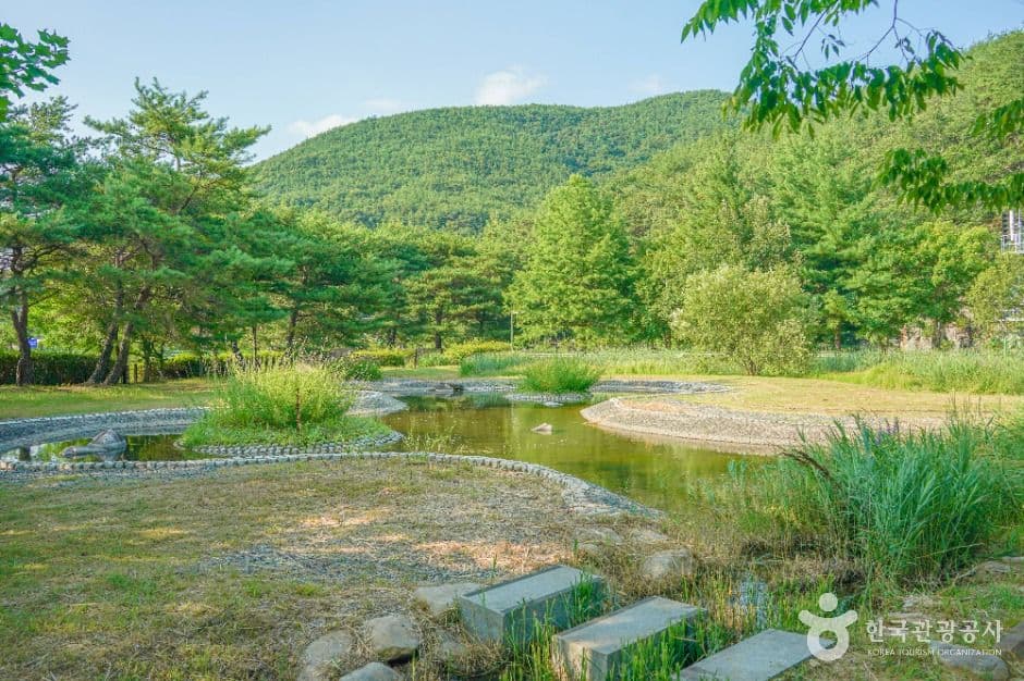 밀양댐 생태공원