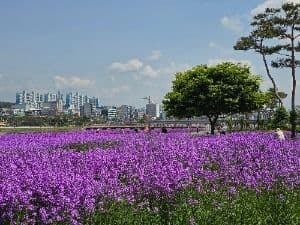 영천생태지구공원