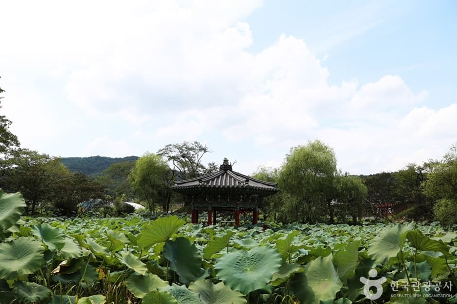 용호정원