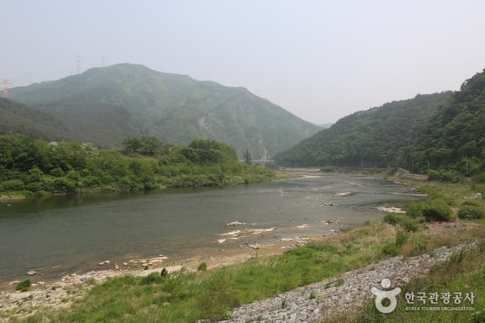 동강 래프팅(정선)