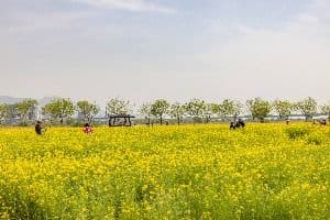대저생태공원