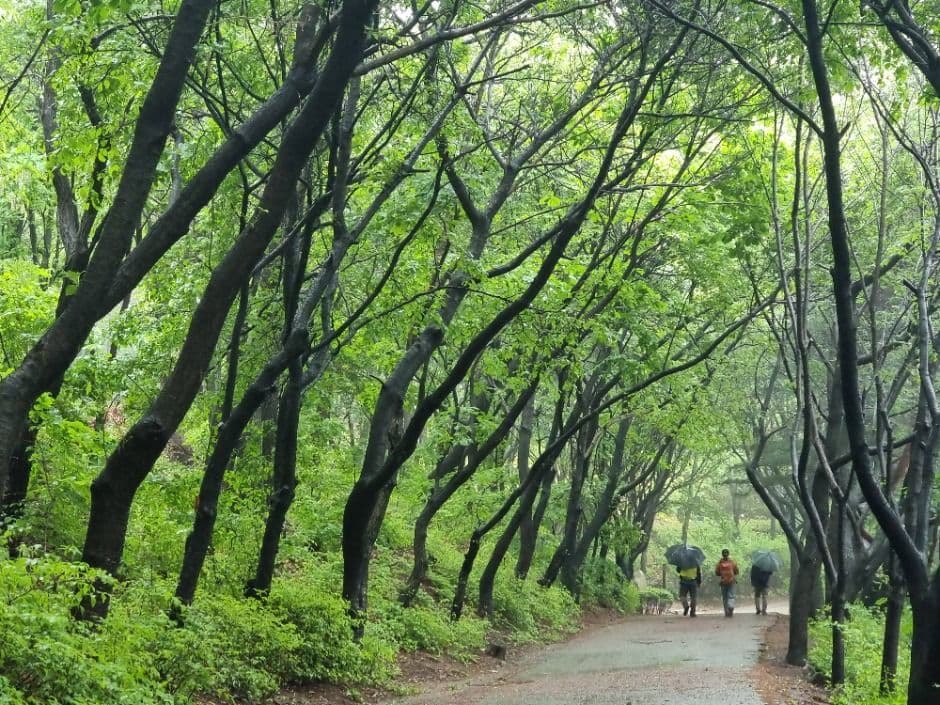 [서울둘레길 4코스] 망우·용마산코스